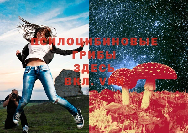 прущие крисы Вязники
